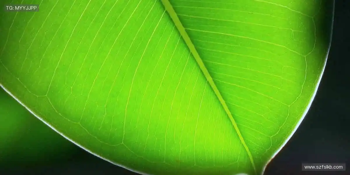 运动不止，周边不息，让生活处处充满体育精神🌟🏃